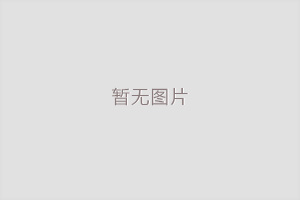 咨询电话-挖掘机出租服务【稳扎稳打】